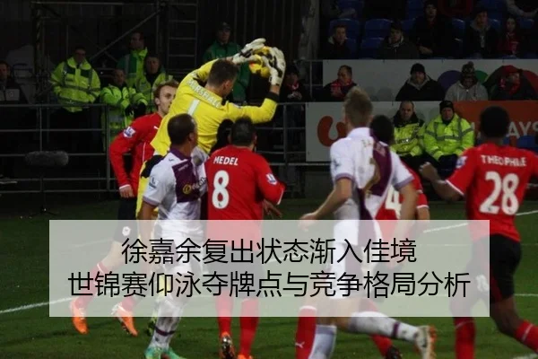 xu-jia-yu-fu-chu-zhuang-tai-jian-ru-jia-jing-shi-jin-sai-yang-yong-duo-pai-dian-yu-jing-zheng-ge-ju-fen-xi-2-274.jpg